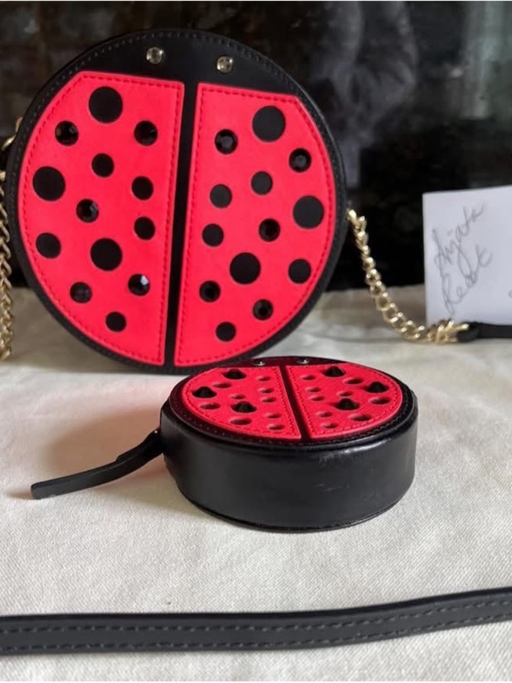 Turn A New Leaf Micha Ladybug Crossbody & matching coin purse.